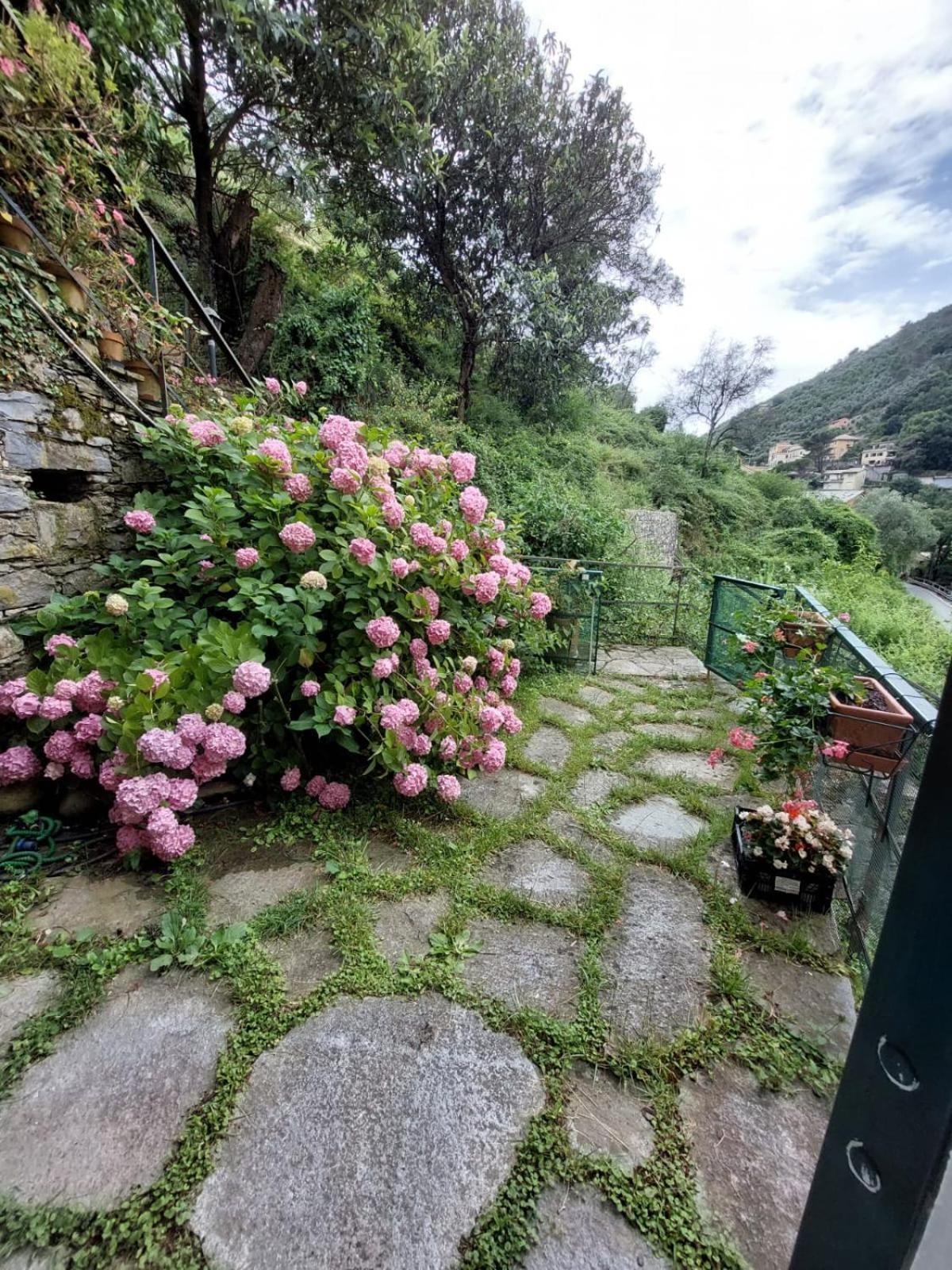 Pupetta Garden Apartment Сори Екстериор снимка